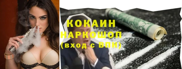 твердый Абаза