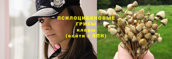 синтетический гашиш Абинск