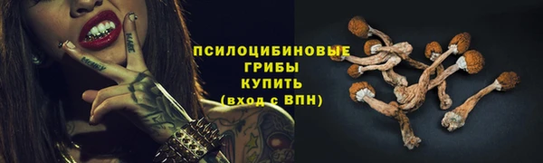 твердый Абаза