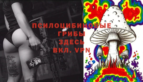 МДПВ Абдулино
