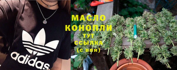 прущие грибы Гусев
