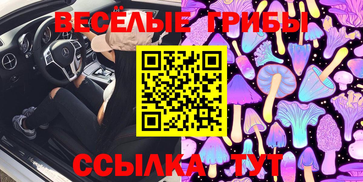 Галлюциногенные грибы GOLDEN TEACHER Ярославль